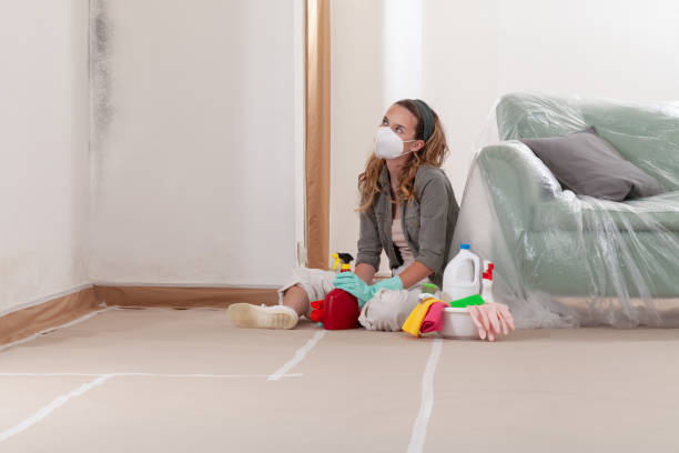 Reliable Mold Remediation contractor in Gowen, MI by WQB Mold Removal